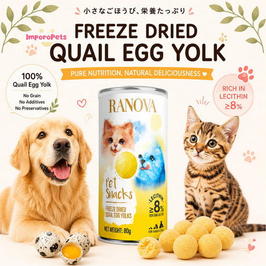 Ranova Cat Treat Freeze Dried Quail Egg Yolk Supports Brain Coat Health Snack For Cats Dogs