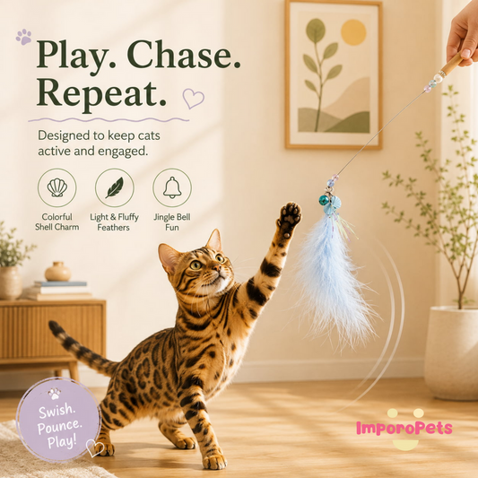 Color Shell Feather Teaser - Simple Natural Interactive Wand Toy for Felines