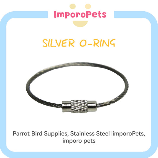ImporoPets, Silver O-Ring Parrot Bird Supplies, Stainless Steel