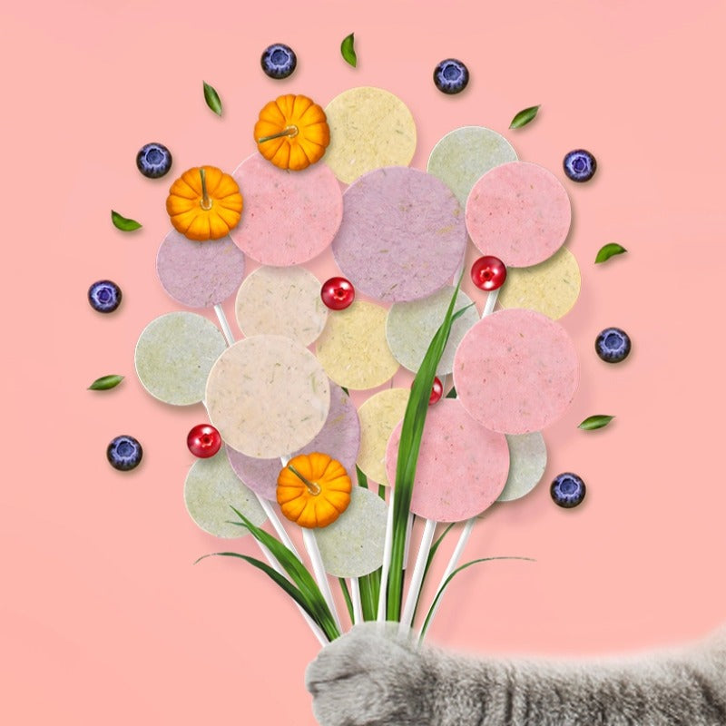 Ranova Freeze-Dried Lollipop Cat Treat – Mixed Flavors (15 Pieces/Bag)
