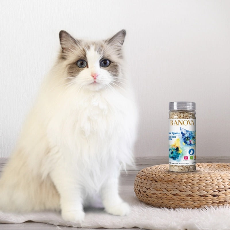 Ranova Chicken Lover - cat snacks