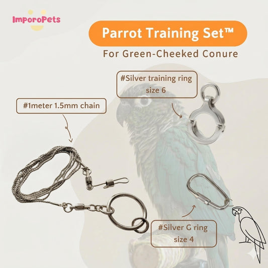 ImporoPets Parrot Training Set™ For GCC Gold Silver Stainless Steel