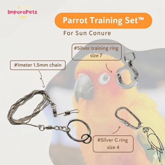 ImporoPets Parrot Training Set™ For Sun Conure Gold Silver Stainless Steel