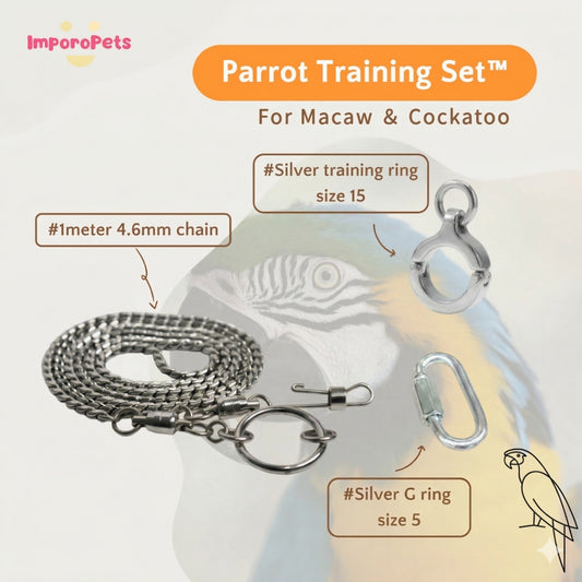 ImporoPets Parrot Training Set™ For Macaw Cockatoo Gold Silver Stainless Steel