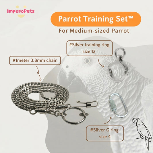 ImporoPets Parrot Training Set™ For Medium-sized Parrot African Grey Eclectus Amazon Parrot Stainless Steel
