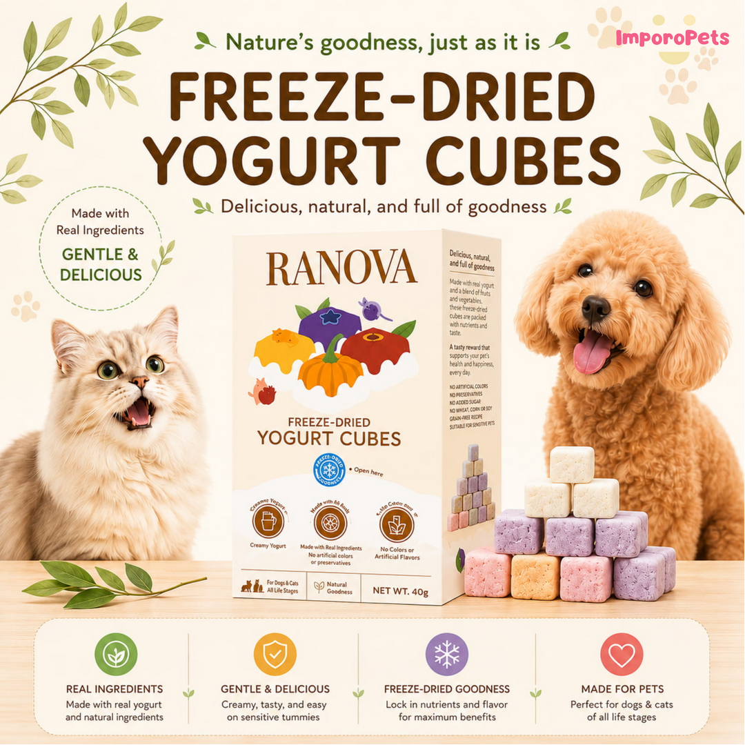 Ranova Cat Treat Freeze Dried Yogurt Cube Mixed Flavors 40pcs/box Probiotic Healthy Snack For Dogs Cats