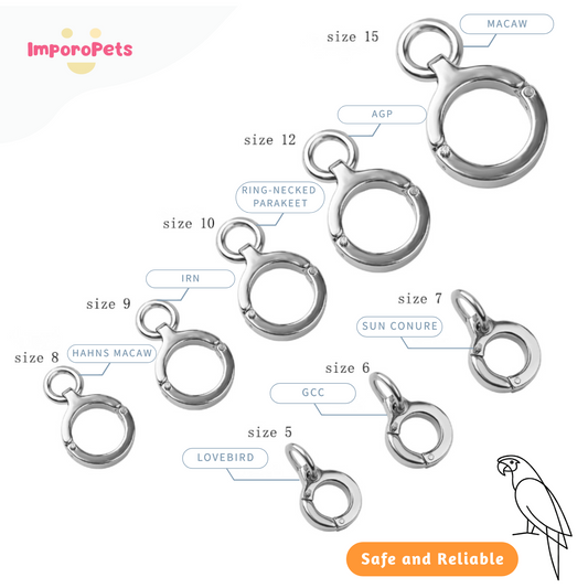 ImporoPets Training Ring Legband For Bird Parrot Stainless Steel With Engraving (max:5charactors+mobile number)