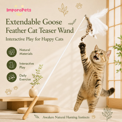 Extendable Goose Feather Cat Teaser Wand - Telescopic Interactive Training Rod for Indoor Cats
