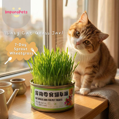 [ImporoPets] Pet toys Lazy Cat Grass Jar (15g) - Easy-to-Grow Organic Wheatgrass for Hairball