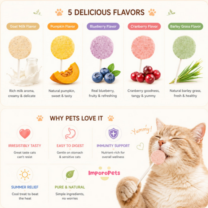 Ranova Cat Treat Lollipop Freeze Dried 15pcs/box Teeth Healthy Interactive Snack For Dogs Cats