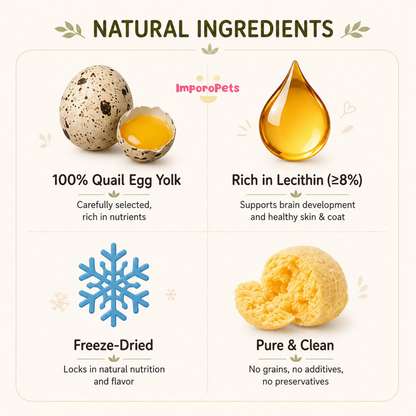 Ranova Cat Treat Freeze Dried Quail Egg Yolk Supports Brain Coat Health Snack For Cats Dogs