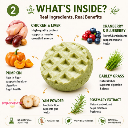 Ranova Cat Treat Freeze Dried Waffle Crunchy Grain-Free Snack Rich in Nutrients For Cats Dogs