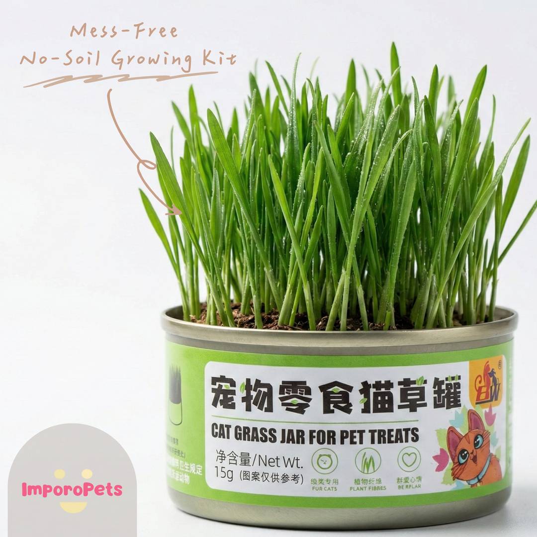 [ImporoPets] Pet toys Lazy Cat Grass Jar (15g) - Easy-to-Grow Organic Wheatgrass for Hairball