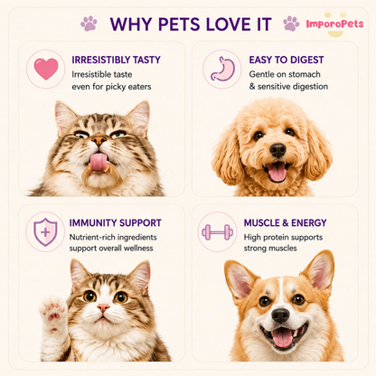Ranova Dog Treat Freeze Dried Cuttie Butt Chicken Recipe Natural Complementary Food for Dogs Cats