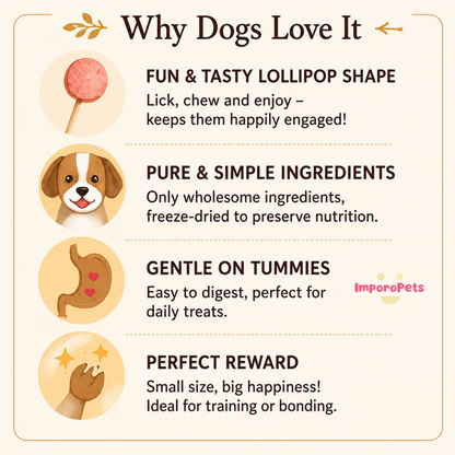 Ranova Dog Lollipop 3pcs Freeze-dried Digestive Health Treat, Hairball Control Reward Treat for Dogs