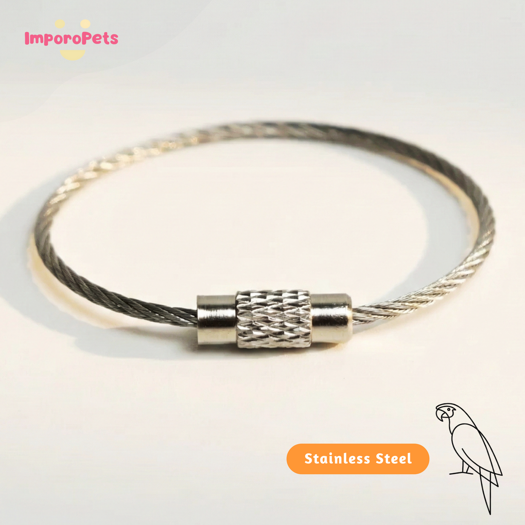 ImporoPets, Silver O-Ring Parrot Bird Supplies, Stainless Steel