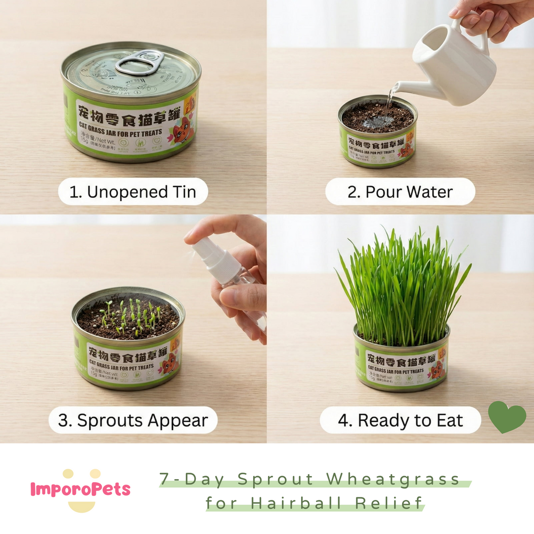 [ImporoPets] Pet toys Lazy Cat Grass Jar (15g) - Easy-to-Grow Organic Wheatgrass for Hairball