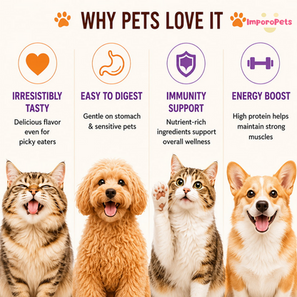 Ranova Cat Treat Freeze Dried Vitality Sticks Support Gut Digestion Functional Snack For Cats Dogs