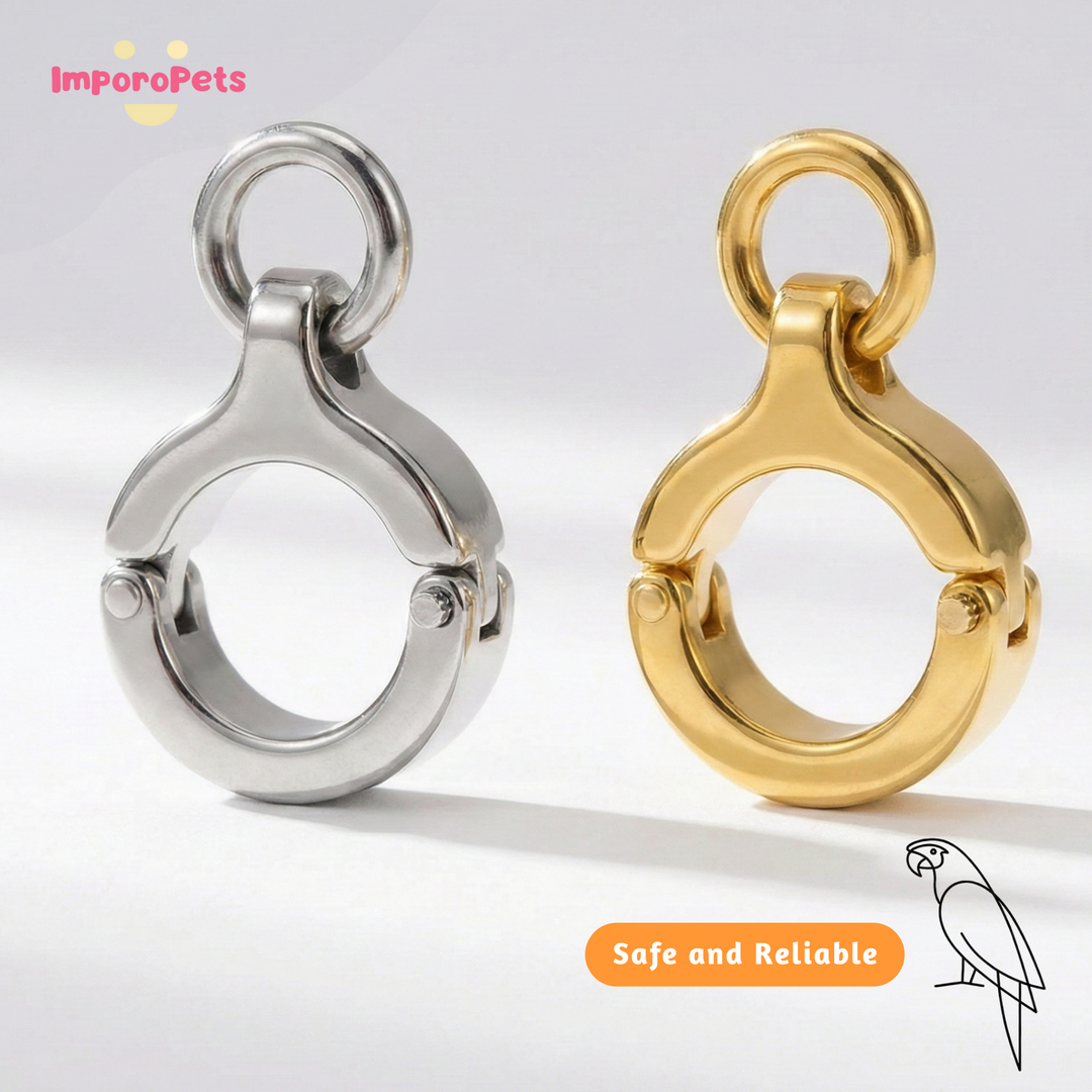 ImporoPets Parrot Training Set™ For Medium-sized Parrot African Grey Eclectus Amazon Parrot Stainless Steel