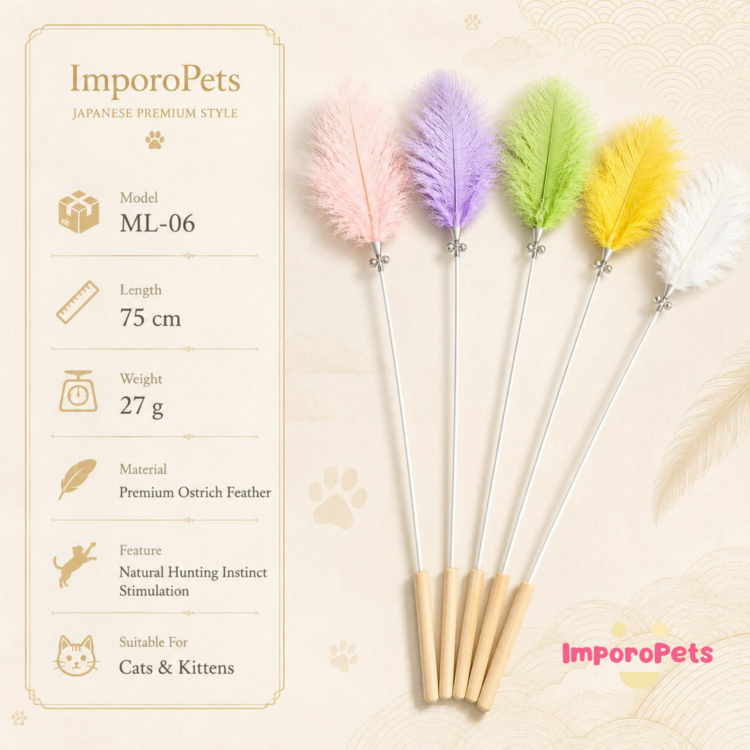 Rainbow Ostrich Feather Wand - Fluffy Colorful Interactive Exercise Toy for Cats