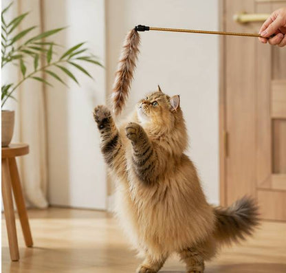 Premium Turkey Feather Strip Cat Wand - Cute design Interactive play for all cats