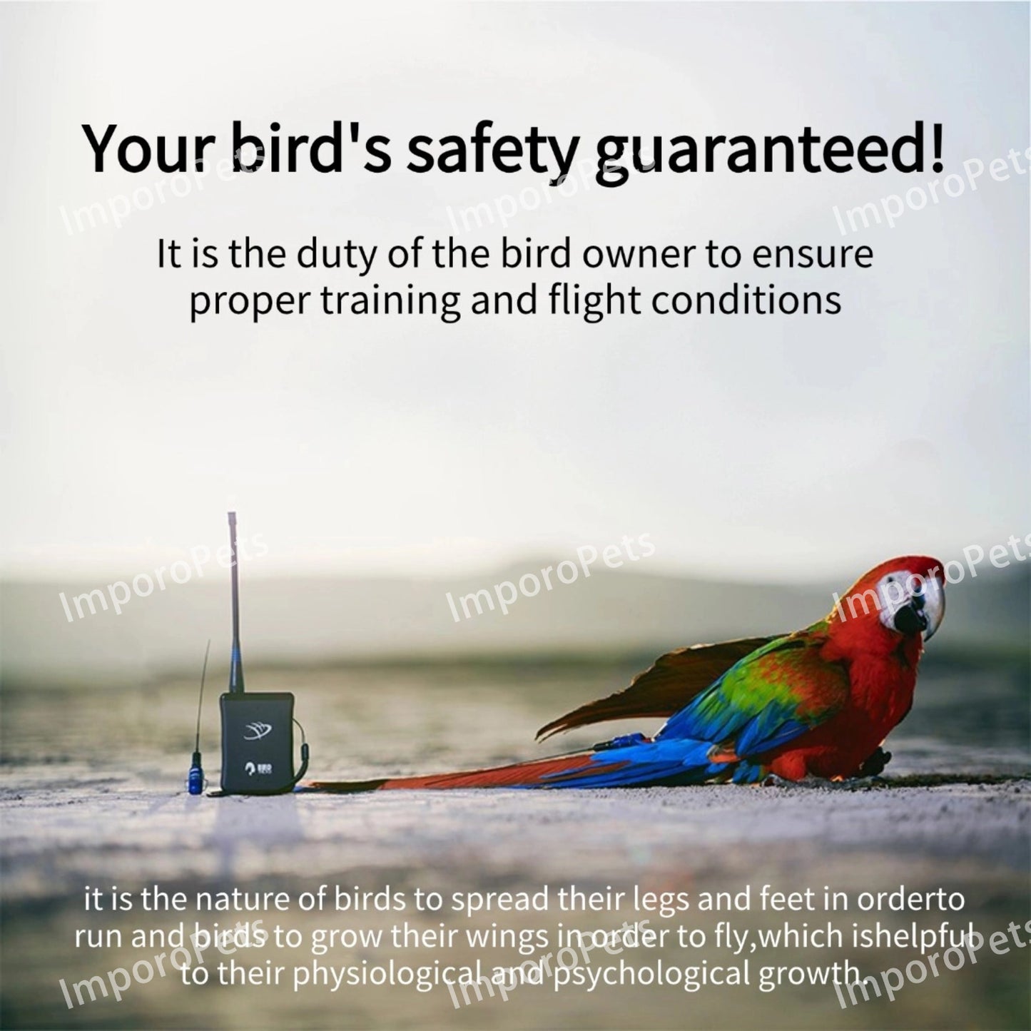 MarshallRadio GPS For birds | Marshall GPS Turbo System for Parrots,Real-time tracking,Precise positioning