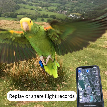 MarshallRadio GPS Turbo-GPS Transmitter（No Bat）