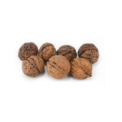 ImporoPets Paper-shell Walnut Parrot Treat For Macaws - 500g High-Protein Nutritious Snack & Training Reward