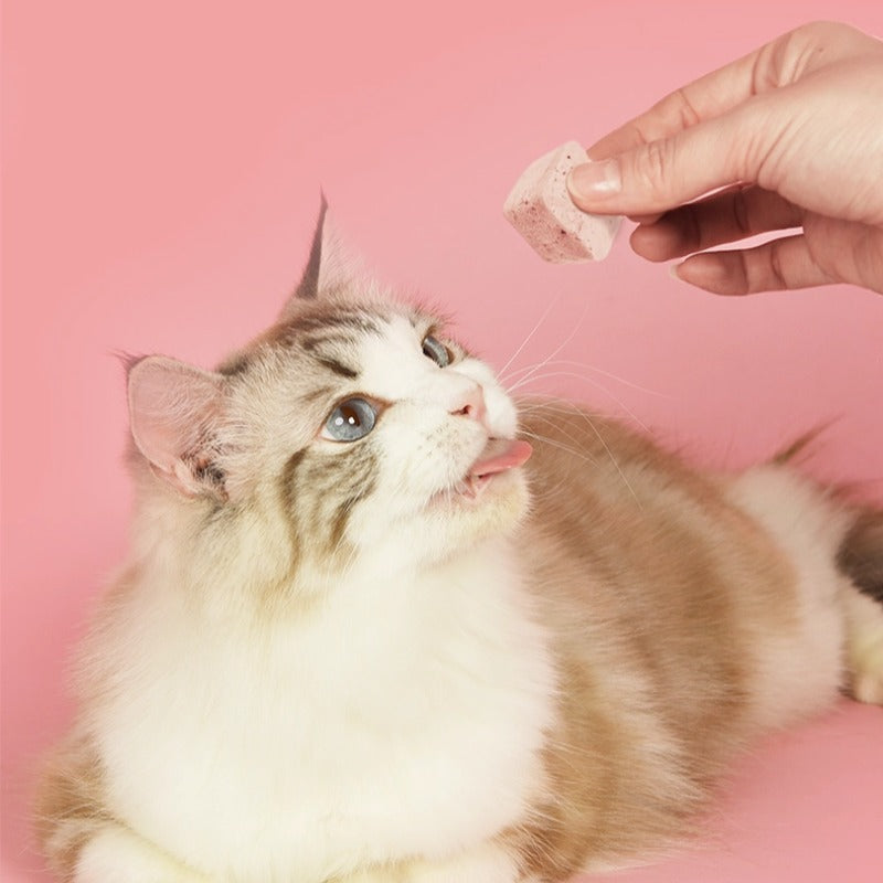 Ranova Freeze-Dried Yogurt Cat Treat – Mixed Flavors, Buy 1 Get 2