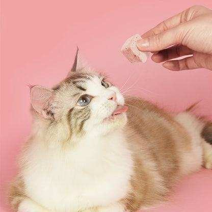 Ranova Freeze-Dried Yogurt Cat Treat – Mixed Flavors, Buy 1 Get 2