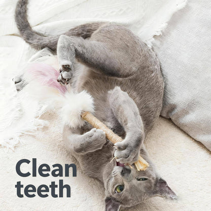 ImporoPets Silver Vine Chew Cat Toy, interactive cat toy, cute cat toy, indoor cat toy