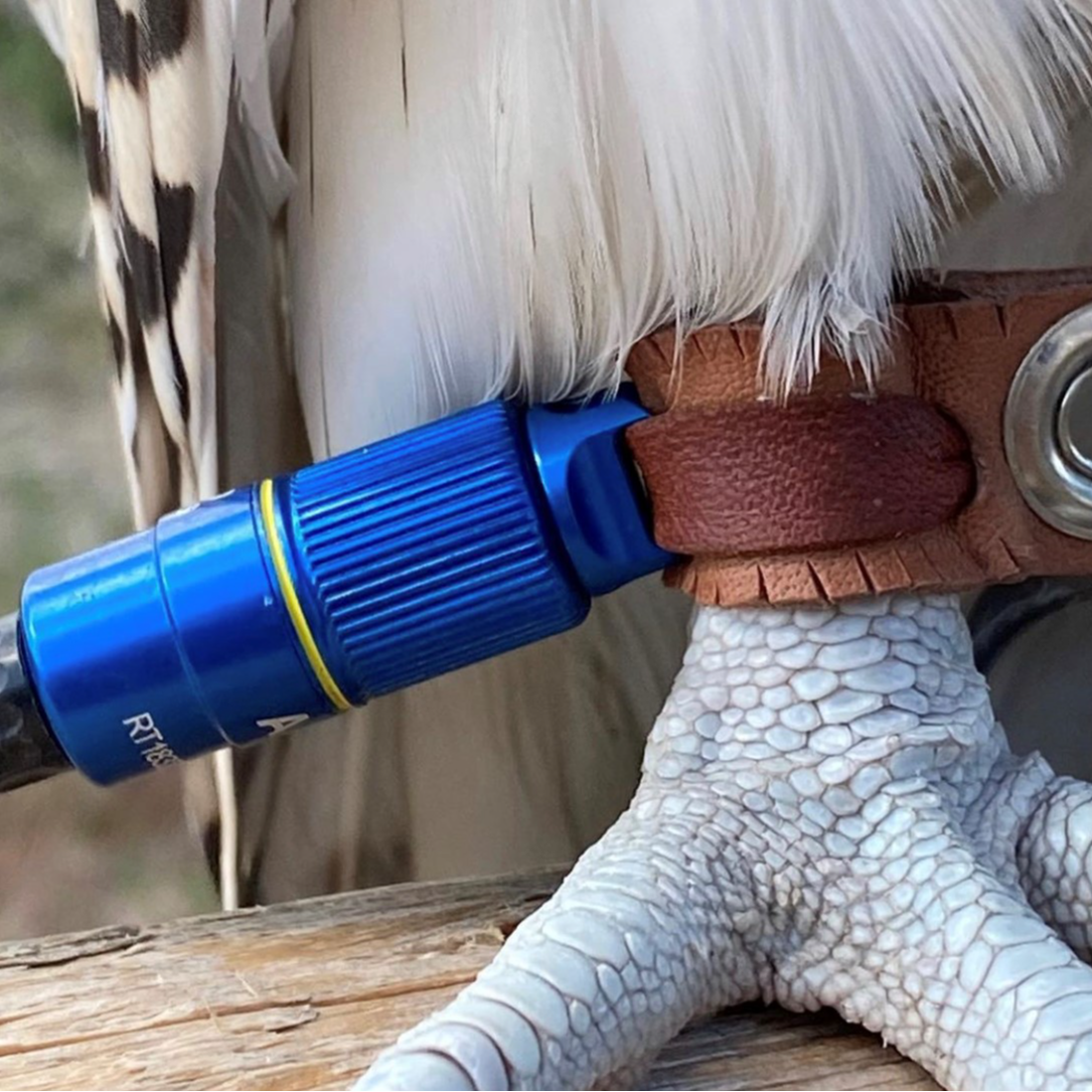 MarshallRadio GPS Rechargable Battery For Pet(1 Battery)