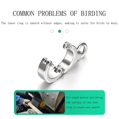 ImporoPets, Training ring for birds, Training ring engraving (max: 5 charactors + mobile number)Toys