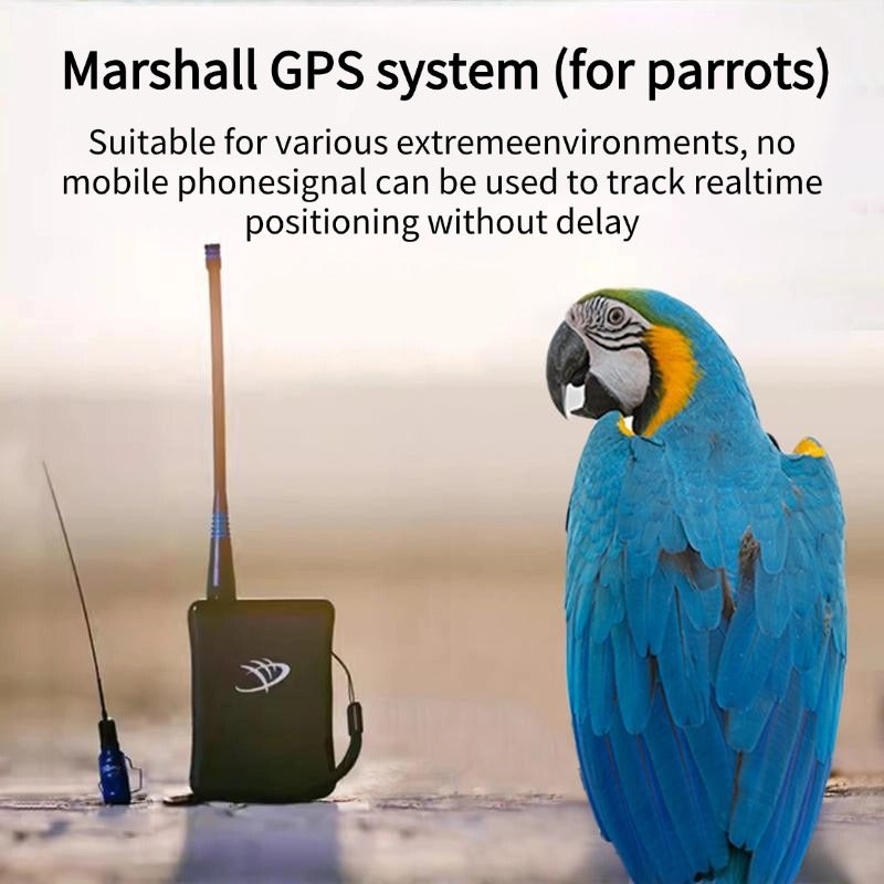 MarshallRadio GPS PocketLink (GPS data receiver)