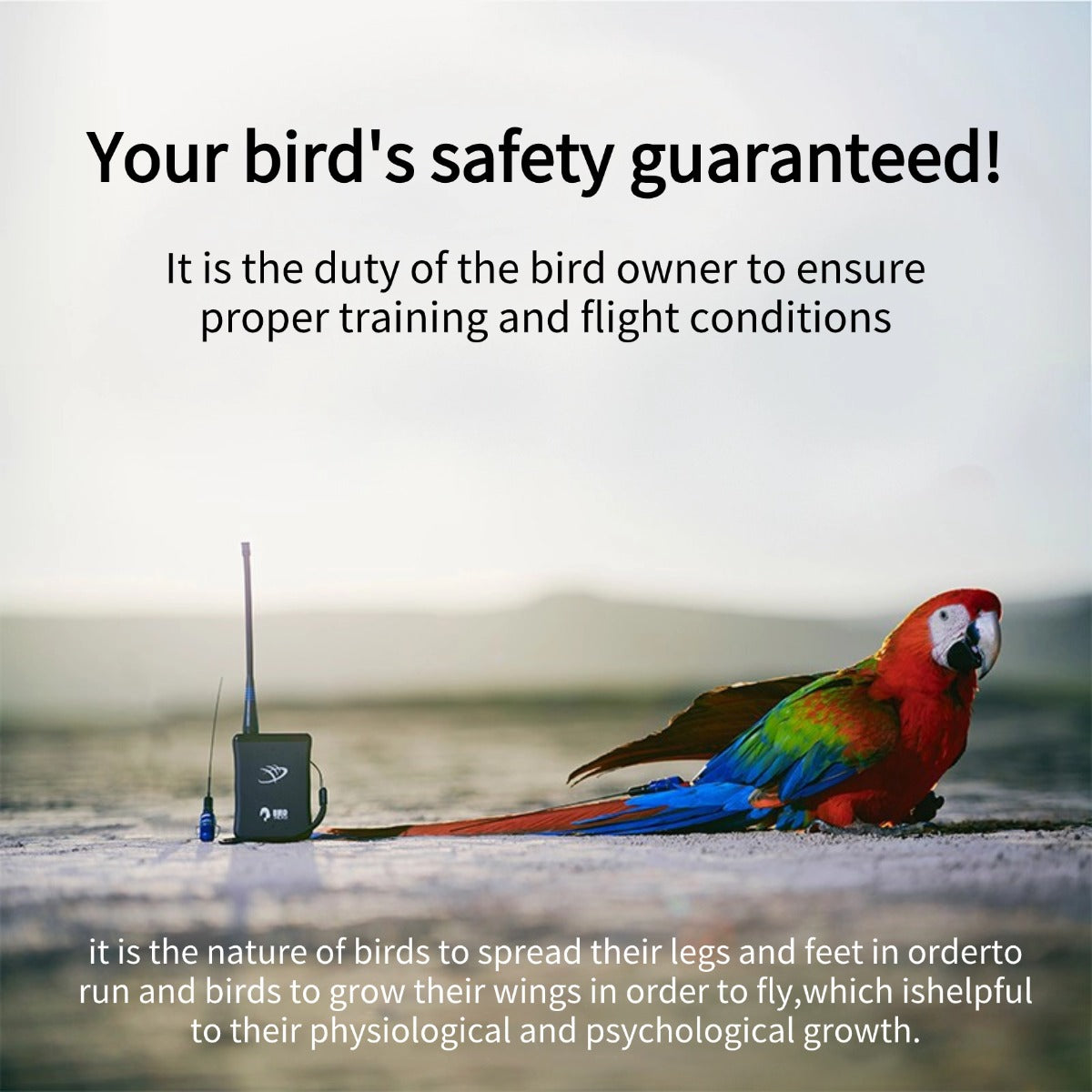 MarshallRadio GPS Transmitter-Set 100% Real-time Tracker With App For Bird Parrot Falcon Eagle