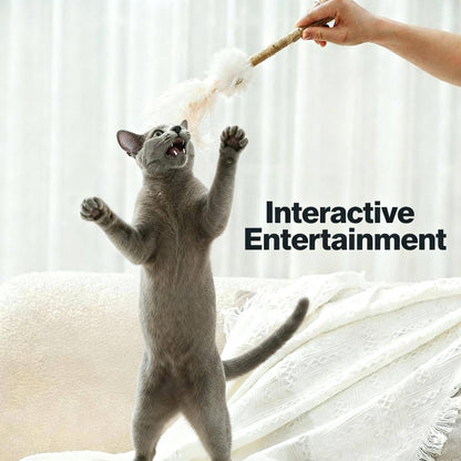 ImporoPets Silver Vine Chew Cat Toy, interactive cat toy, cute cat toy, indoor cat toy
