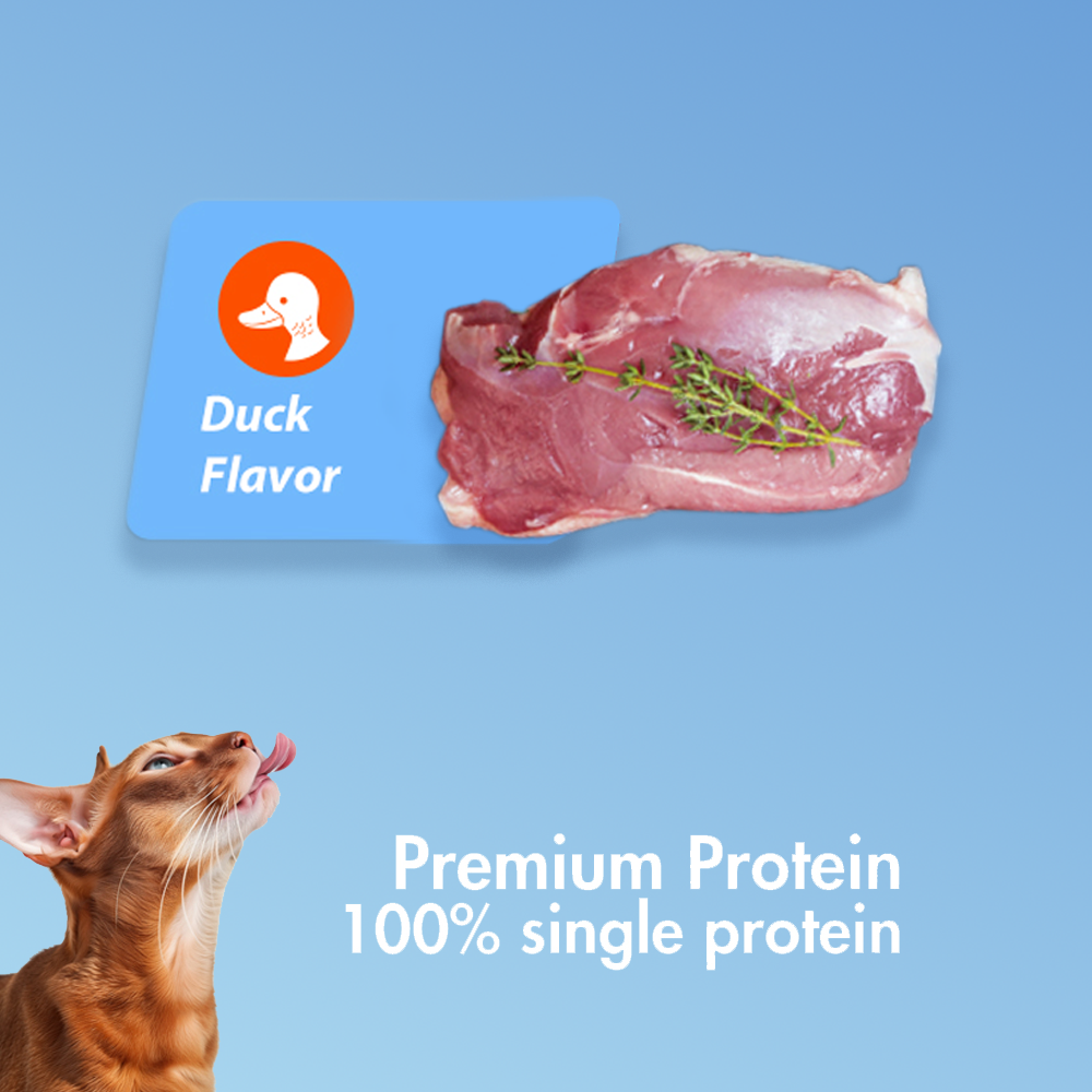 Ranova 100% Pure Meat Freeze-Dried Cat Treat