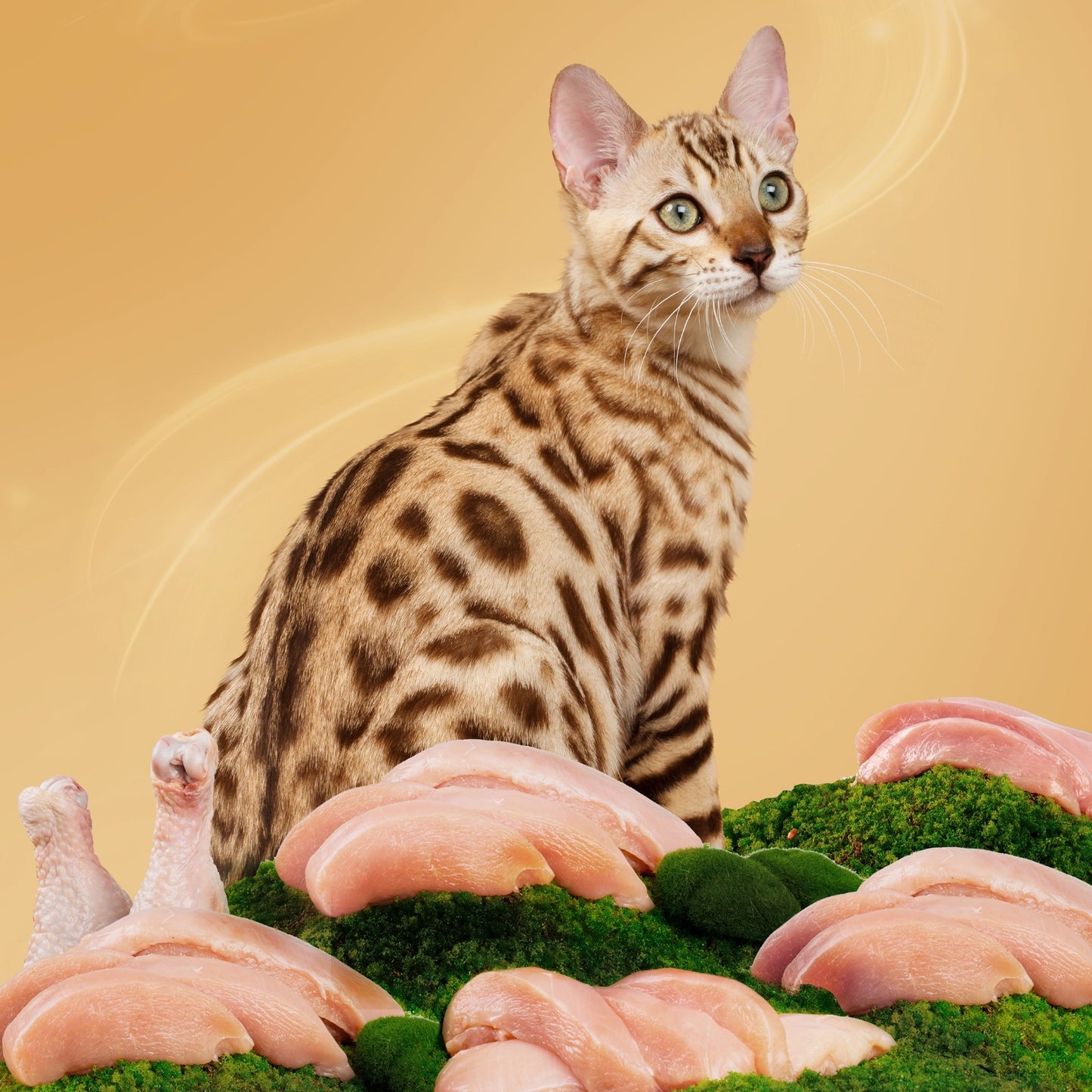 Ranova cat food - Foodie Sniper