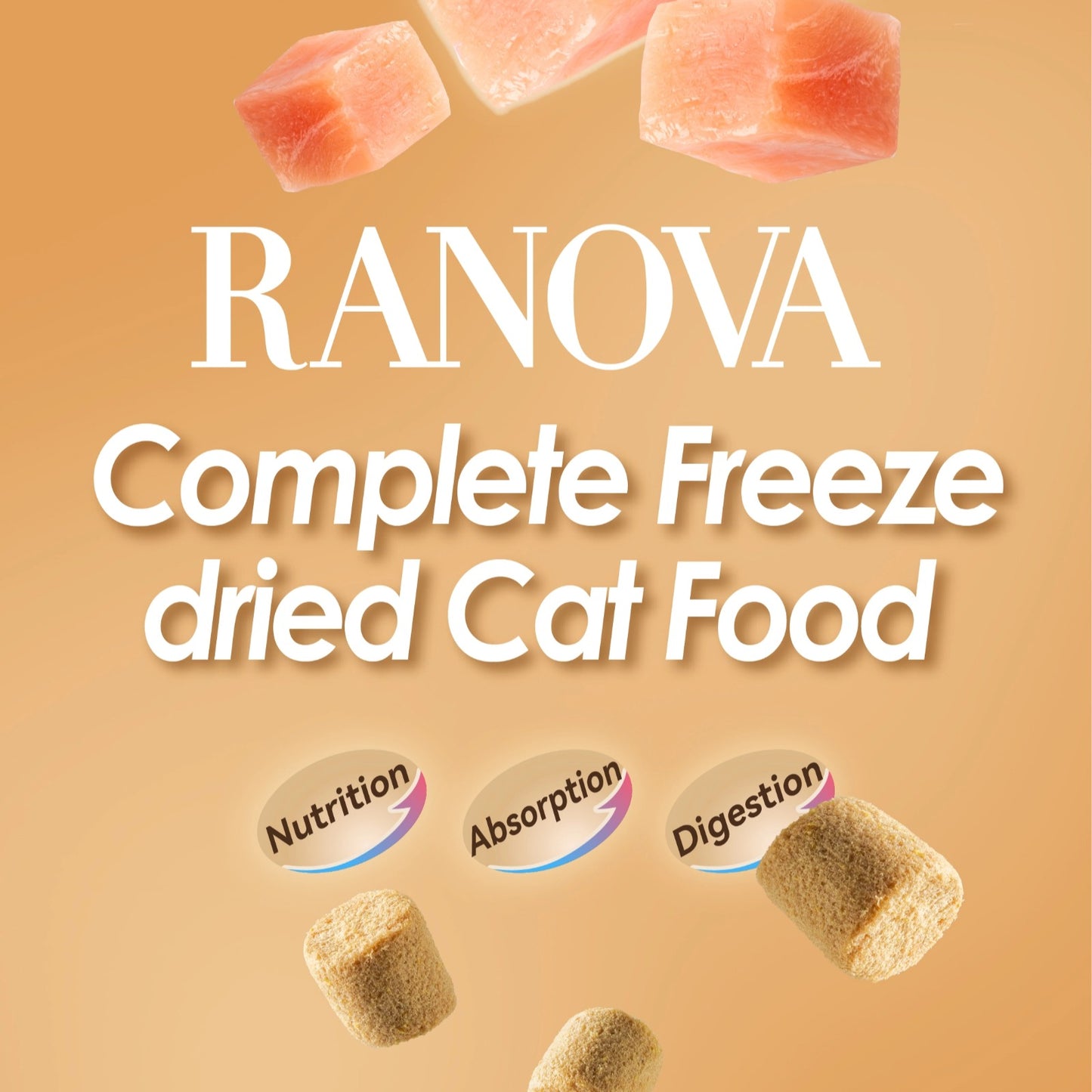Ranova New Cat Parent Starter Box
