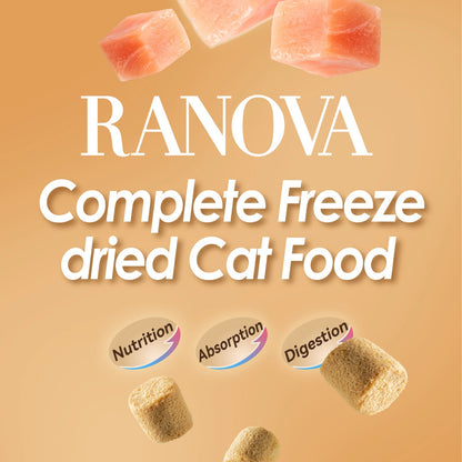 Ranova New Cat Parent Starter Box