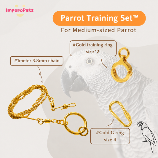 ImporoPets Parrot Training Set™ For Medium-sized Parrot African Grey Eclectus Amazon Parrot Stainless Steel