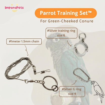 ImporoPets Parrot Training Set™ For GCC Gold Silver Stainless Steel
