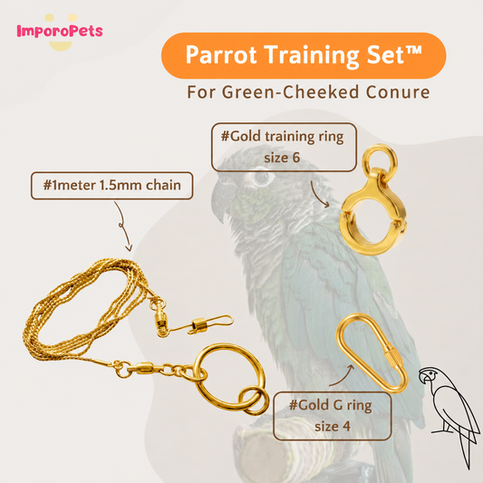 ImporoPets Parrot Training Set™ For GCC Gold Silver Stainless Steel