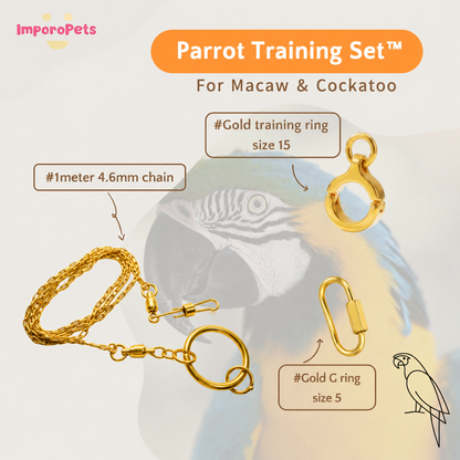 ImporoPets Parrot Training Set™ For Macaw Cockatoo Gold Silver Stainless Steel
