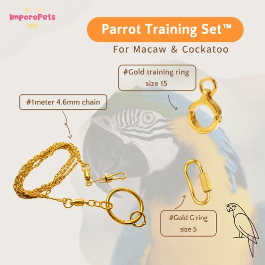 ImporoPets Parrot Training Set™ For Macaw Cockatoo Gold Silver Stainless Steel