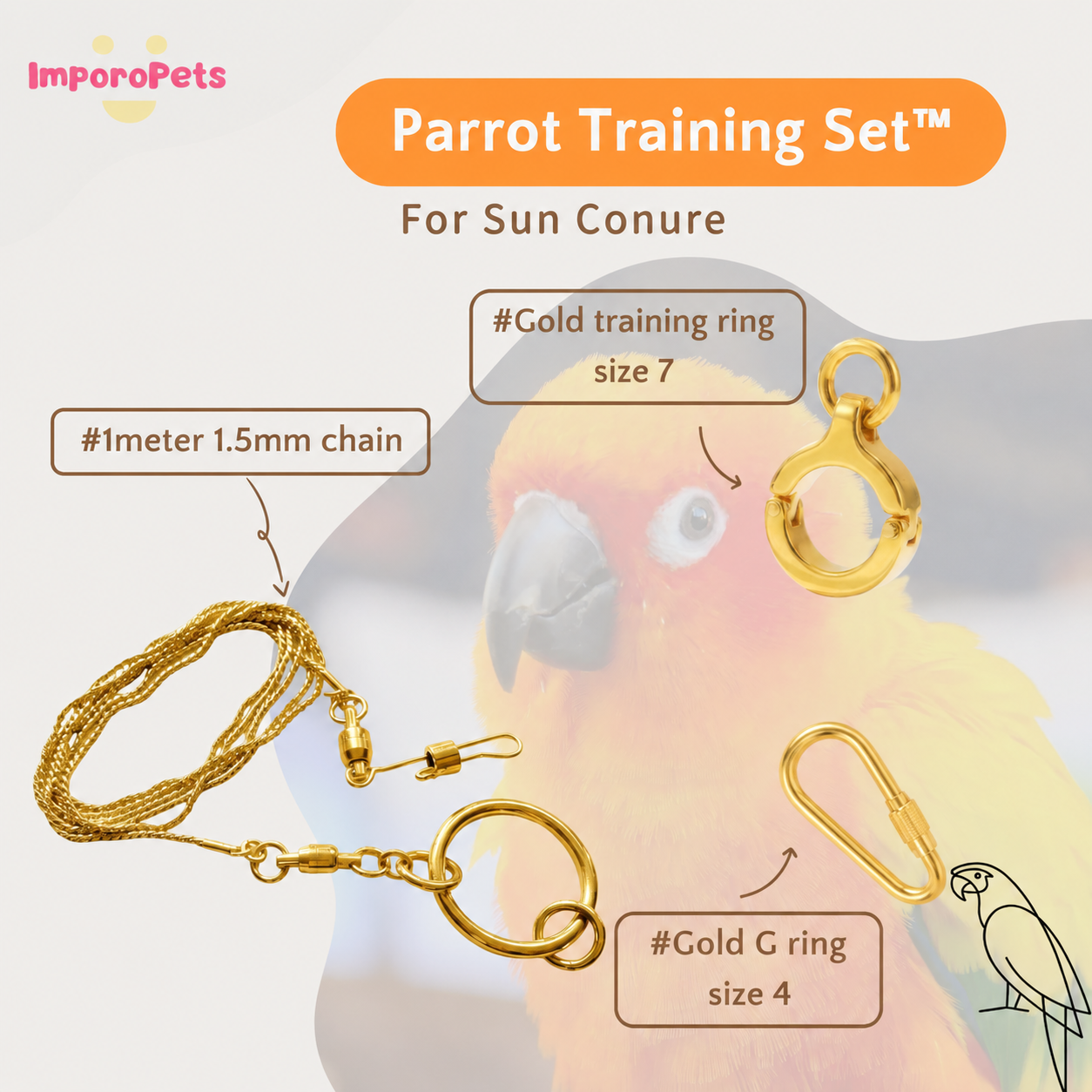 ImporoPets Parrot Training Set™ For Sun Conure Gold Silver Stainless Steel