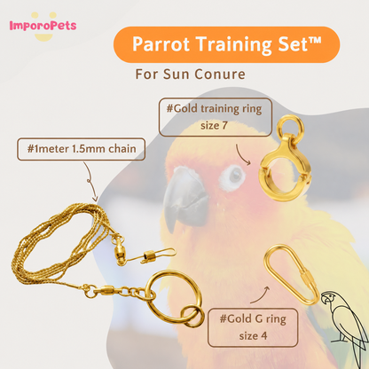 ImporoPets Parrot Training Set™ For Sun Conure Gold Silver Stainless Steel