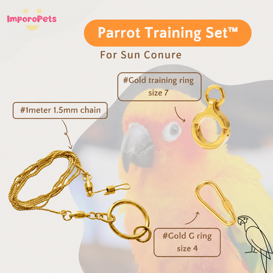 ImporoPets Parrot Training Set™ For Sun Conure Gold Silver Stainless Steel