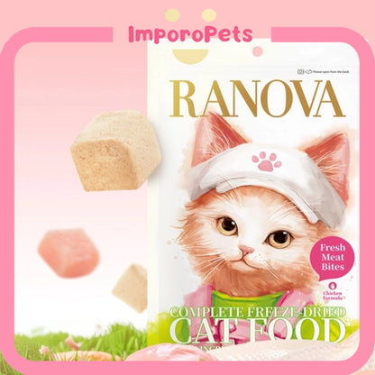 Ranova New Cat Parent Starter Box